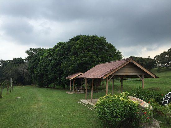 Melaka Tropical Fruit Farm